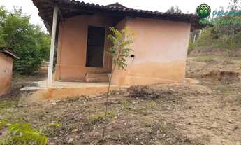 Imagem 6: Sítio em bananeiras