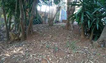 Imagem 6: Marimbá - Sítio de 8.000m² - R$690.000,00 - Aceita imóveis