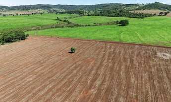 Imagem 6: Fazenda em pontalina-go