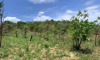 Imagem 5: Terreno rural 7.8ha, casa antiga, barracão, arvores frutíferas, 2 nascentes,2 lagoas