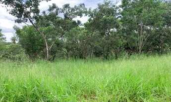 Imagem 6: Chácara de 1.000m² plantada de arvores frutíferas, em frente a uma reserva ecológica