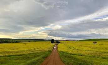 Imagem 4: Fazenda de 260 alq em Corumbá-Go