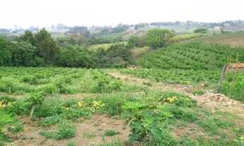 Imagem 6: SÍTIO - MACUCO - SP