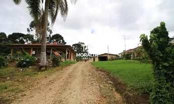 Imagem: Chácara à Venda no Campestre Tijucas do
