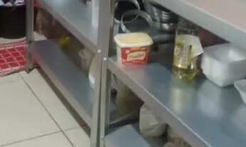 Imagem 3: Equipamentos de hamburgueria e lanchonete