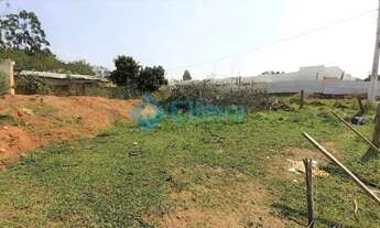 Imagem 4: Terreno à Venda - Mato Alto