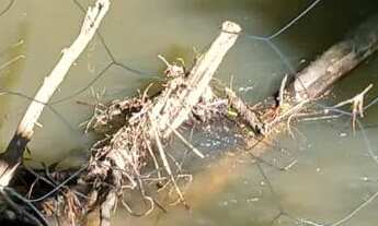 Imagem: Linda chacara com ribeirao casa pitoresca