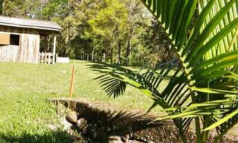 Imagem 2: Sítio completo em picada verão - Sapiranga/RS