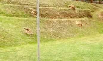 Imagem 7: Atibaia chácara