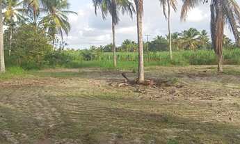 Imagem 4: Sítio para vender ( Povoado Baixa de Areia