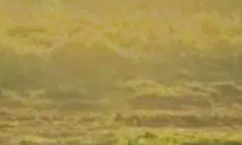 Imagem: Terrenos na região do Capanema - Araçoiaba