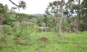 Imagem 5: Chácara à Venda no Campestre Tijucas do Sul