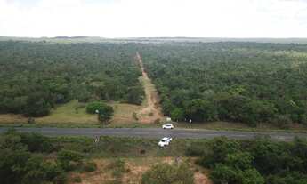 Imagem 6: Fazenda 15.416. Valor 61.664.000