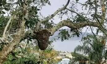 Imagem 6: Terreno à venda, 400 m² por R$ 890.000,00 - Camboinhas - Niterói/RJ