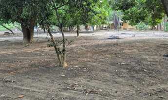 Imagem 3: Rancho em Paracatu