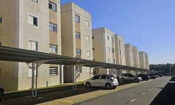 Imagem 2: Apartamento : Padrão / Residencial / Dom Pedro II / Zona Norte