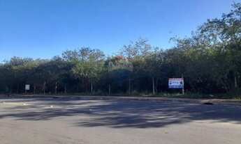 Imagem 2: Terreno no distrito industrial