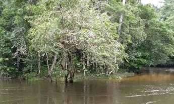 Imagem 3: Sitio em Rio Preto da Eva (porteira fechada