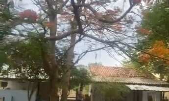 Imagem 4: SÍTIO 20 HECTARES PROX CINQUENTINHA