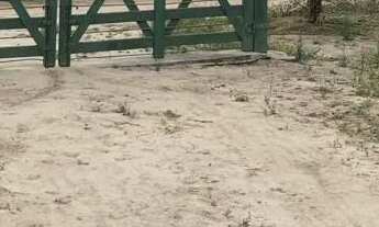 Imagem 5: SÍTIO A VENDA Chácara com venda por R$200.000