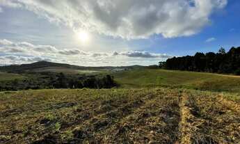 Imagem 7: Promoção por Tempo Limitado Lotes Próximos a Terra Preta