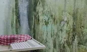 Imagem 5: Casa à venda, 31 m² por R$ 233.200,00 - Maracanã - Praia Grande/SP