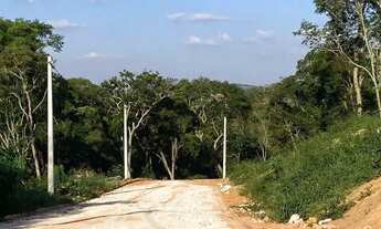 Imagem: Loteamento com infraestrutura completa ideal