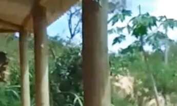 Imagem: Casa em jaboticatubas