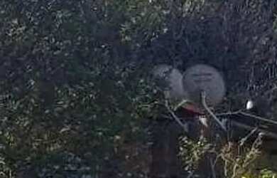 Imagem 11: Chácara à venda em Boa Vista da Aparecida