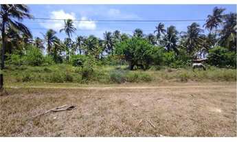 Imagem 4: Terreno à Venda - Rota Ecológica dos Milagres - Praia da Laje - R$ 75.000,00