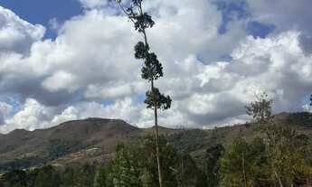 Imagem 4: Terreno de 1000m² em Mairinque na divisa de São Roque Terreno com vista para sua Chácara