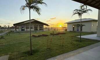 Imagem 3: Lote Mares Malui