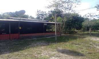 Imagem 3: Sítio na estrada de Novo Airão