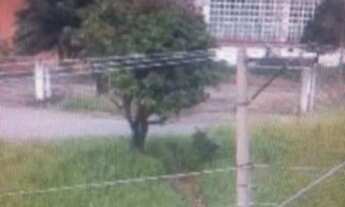 Imagem 5: Terreno à venda, 20.000 m² por R$ 62.000.000 - Parque São Domingos - São Paulo/SP