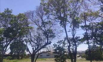 Imagem 13: Terreno à Venda, bairro GRAMADO, Cascavel, PR