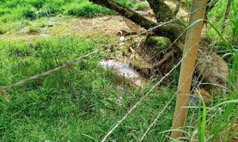 Imagem 6: Venda-se está propriedade de quase 10 alqueires no Município de Mimoso do Sul/ES