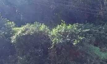 Imagem 5: Terreno em Loteamento no João Paulo