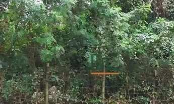 Imagem 5: Terreno à venda, 900 m² por R$ 1.100.000,00 - Engenho do Mato - Niterói/RJ