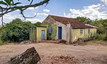 Imagem: Propriedade com 20Ha com 4,5Ha com pessegueiros