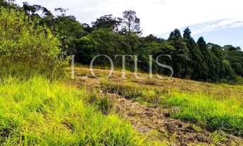 Imagem 6: TERRENOS EM COTIA!