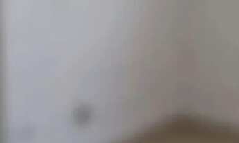 Imagem 7: Jardim América Galpão / depósito com 5 vagas na garagem