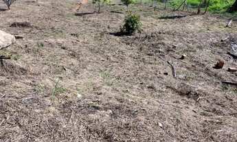 Imagem 3: Chácara em piedade