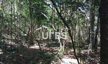 Imagem 5: Oportunidade de chacará com mata exuberante