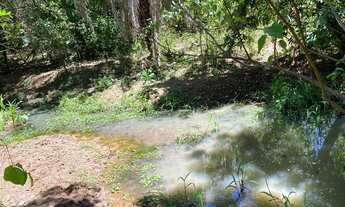 Imagem 6: Chácaras de 2mil mt em o trindade próxima do povoado de Santa Maria!