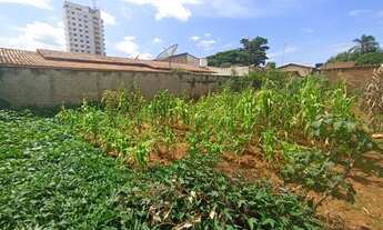 Imagem 3: Lote centro de Pires do Rio