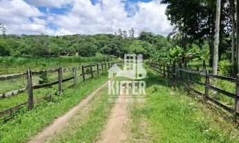 Imagem 2: Fazenda à Venda em Silva Jardim 46,94 Hectares com Porteira Fechada!