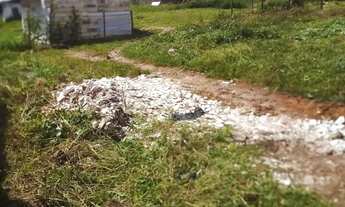 Imagem: Vendo dos lotes altos do Jaguarema