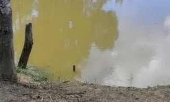 Imagem 3: Chácara Chácara com venda por R$130.000