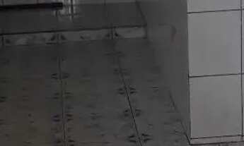 Imagem 4: Apartamento alugo