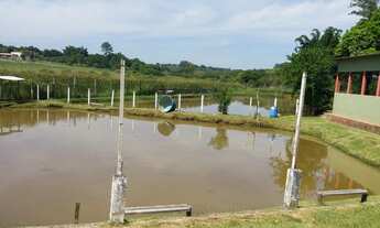 Imagem 2: Pesqueiro pingo de mel